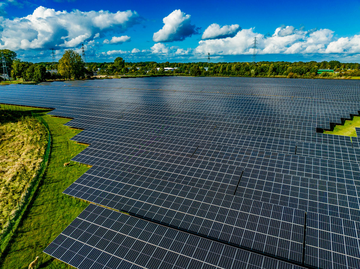 SET-vast-solar-farm-stretching-across-the-landscape-un-2025-04-03-13-49-27-utc